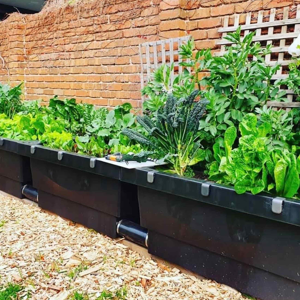 Best Raised Garden Beds for Vegetables, Fruits, Flowers | Vego Garden