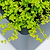 32" Tall Modern 83" x 83" L Shape Metal Raised Garden Bed - Midnight Blue