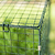 Close-up of the wire lid and fastening clip on a Vego Garden garden bed cloche.| Vego Garden