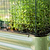 Vego Garden wire cloche panel attached along the rim of a white raised bed.| Vego Garden
