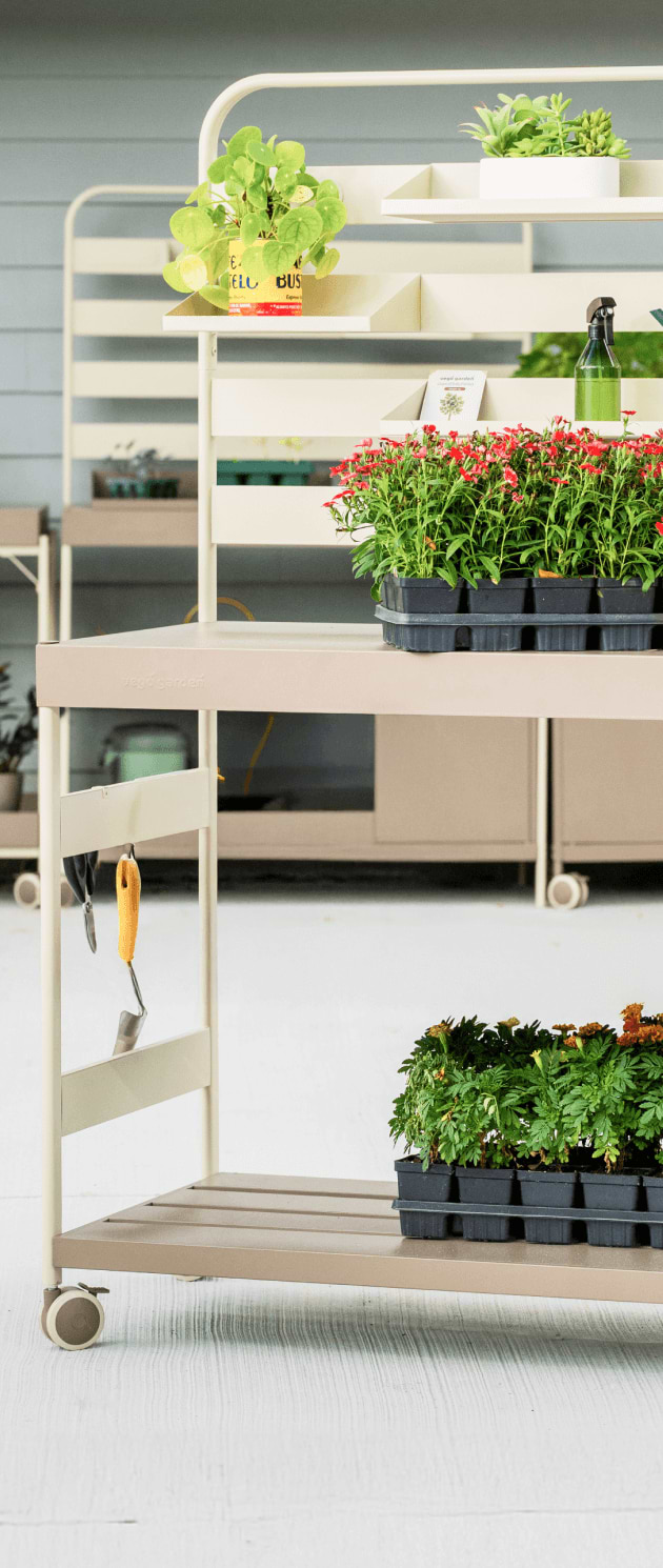 Vego garden beds