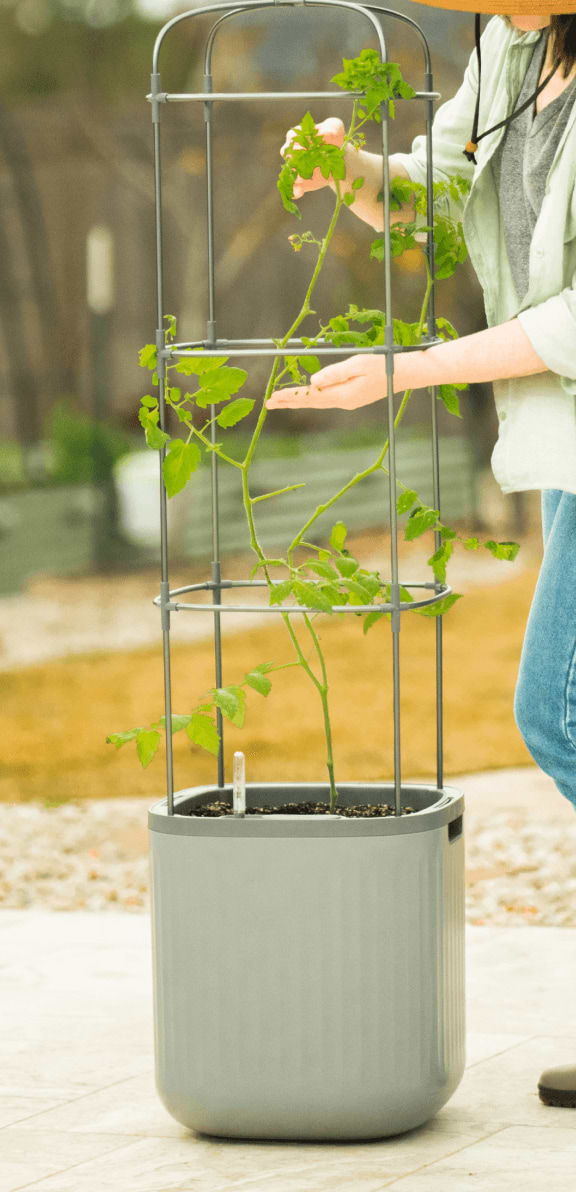 Vego garden beds