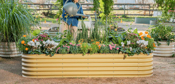 Vego garden beds