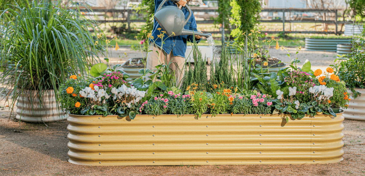 Vego garden beds