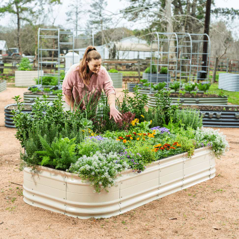 Vego garden beds