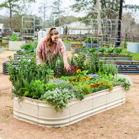 Vego garden beds