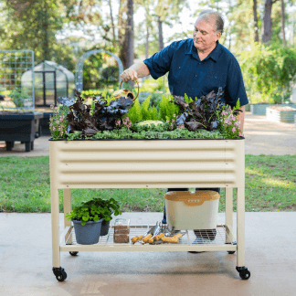 Vego garden beds