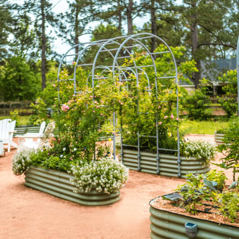 Vego garden beds