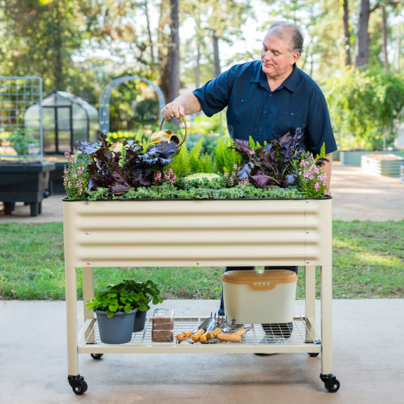 Vego garden beds