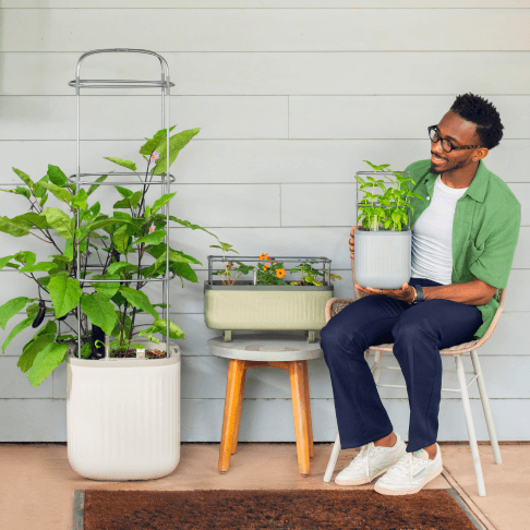 Vego garden beds