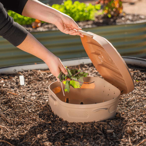 Vego garden beds