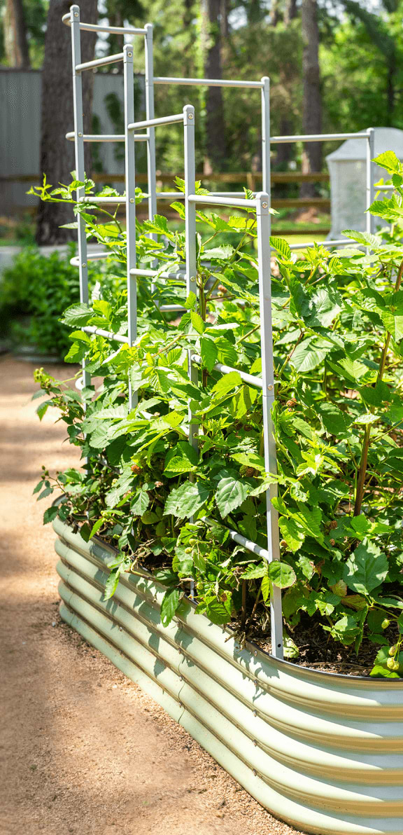 Vego garden beds