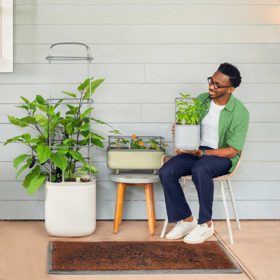 Vego garden beds