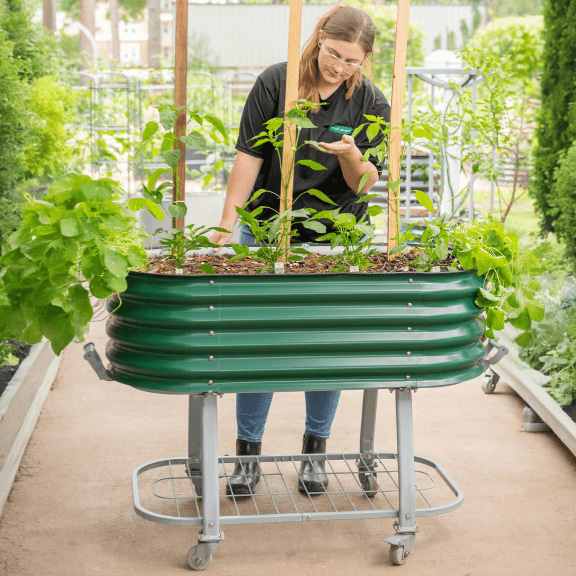 Vego garden beds