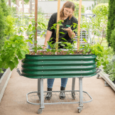 Vego garden beds
