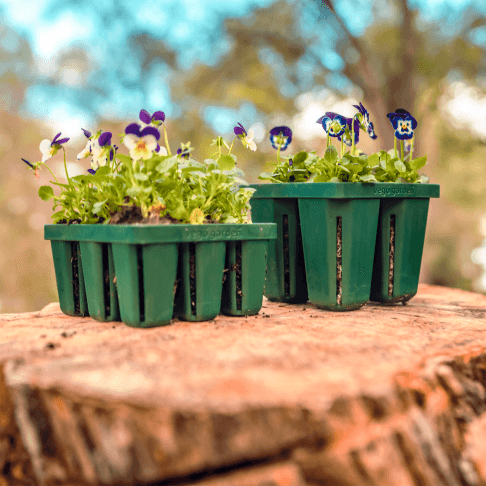 Vego garden beds