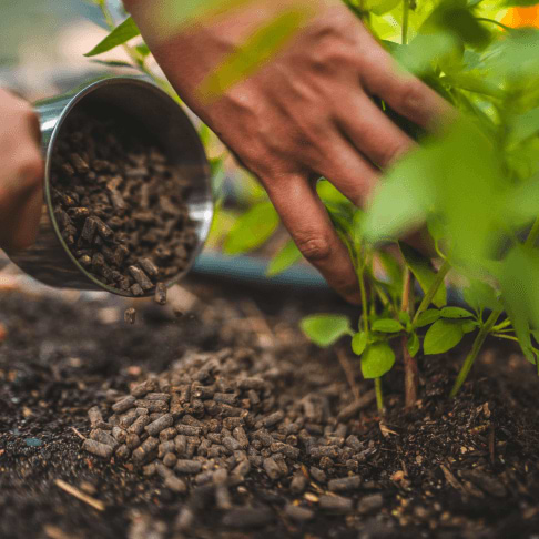 Vego garden beds