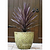 Bauer& | Vego Garden