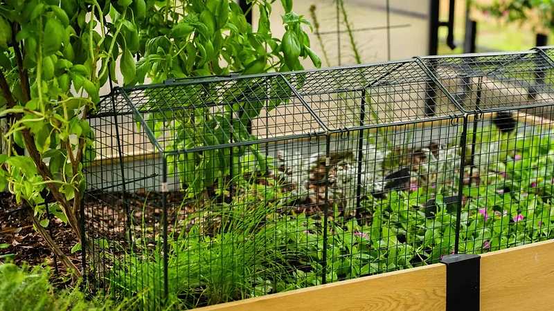 Vego Garden Wire Garden Cloche Extension works desktop