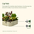 Vego Garden Cap Nuts Food Grade 304 Stainless steel hardware, including cap nuts, ensure the safety of your hands, soil and harvests | Vego Garden