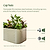 Vego Garden Cap Nuts Food Grade 304 Stainless steel hardware, including cap nuts, ensure the safety of your hands, soil and harvests | Vego Garden