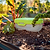 in-ground worm bin Lime | in-ground worm farm