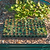Vego Garden | Seedling Trays with Drip Irrigation