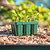 Vego Garden | Seedling Trays with Drip Irrigation