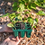 Vego Garden | Seedling Trays with Drip Irrigation