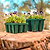 Vego Garden | Seedling Trays - 10x20 Mix Kit
