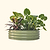 11" Tall 42" Round Modular Metal Raised Garden Bed Kit | Vego Garden | Olive Green | Vego Garden