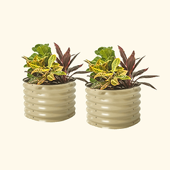 17" Tall Herb Garden Bed 24" Wide - Twin Pack