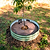 Vego Garden Tree Surround & Watering Ring