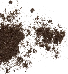 soil