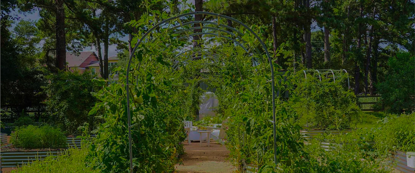 Vego garden beds