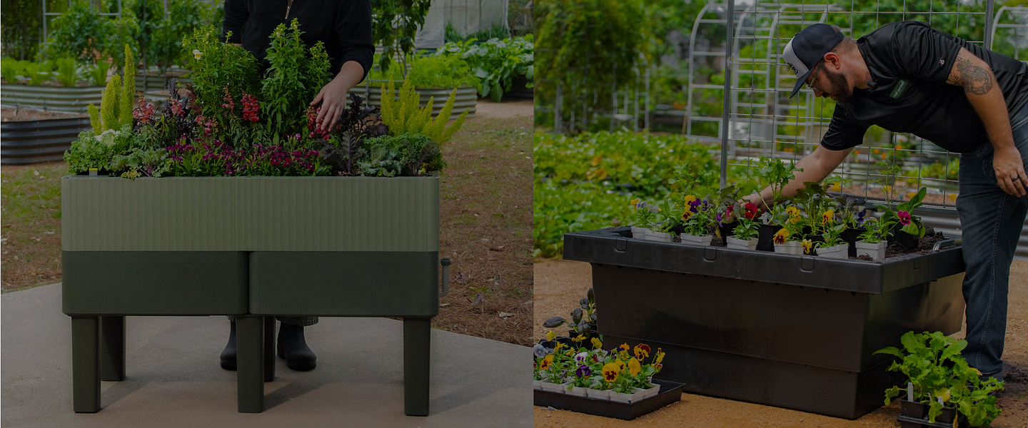 Vego garden beds