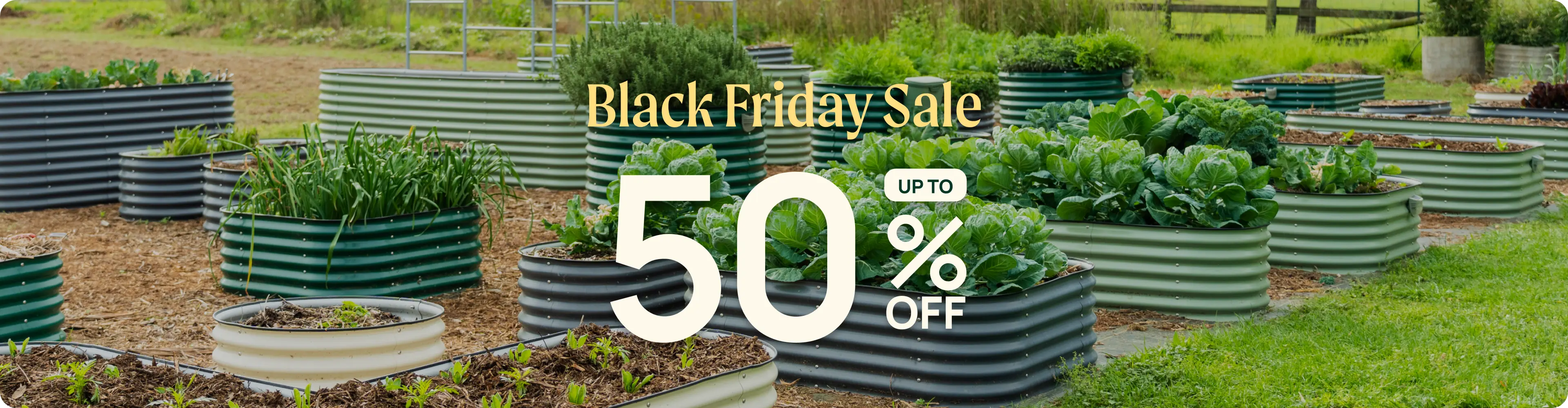 Vego garden beds