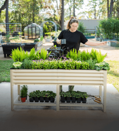 Elevated   Garden Beds