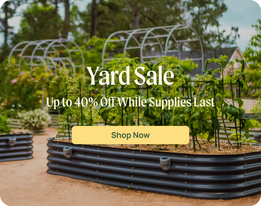 Vego garden beds