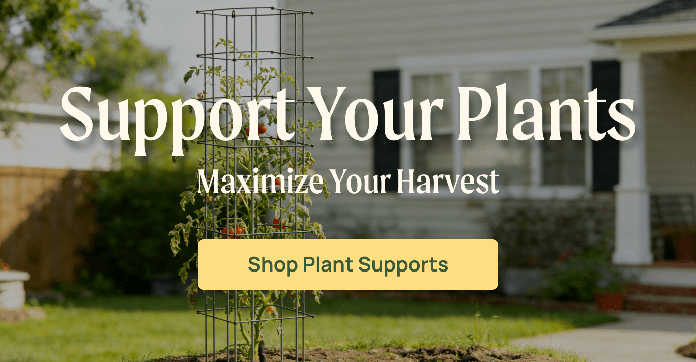 Vego garden beds