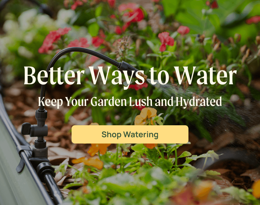 Vego garden beds