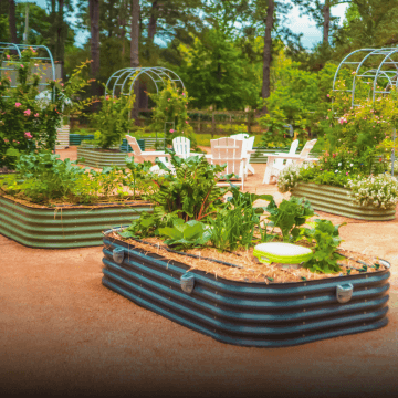 Classic  Garden Beds