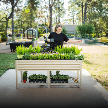 Elevated   Garden Beds