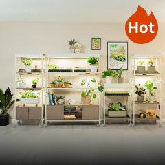 Indoor Gardening