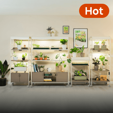 Indoor Gardening