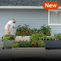 Rolling Garden Beds