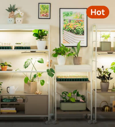 Indoor Gardening
