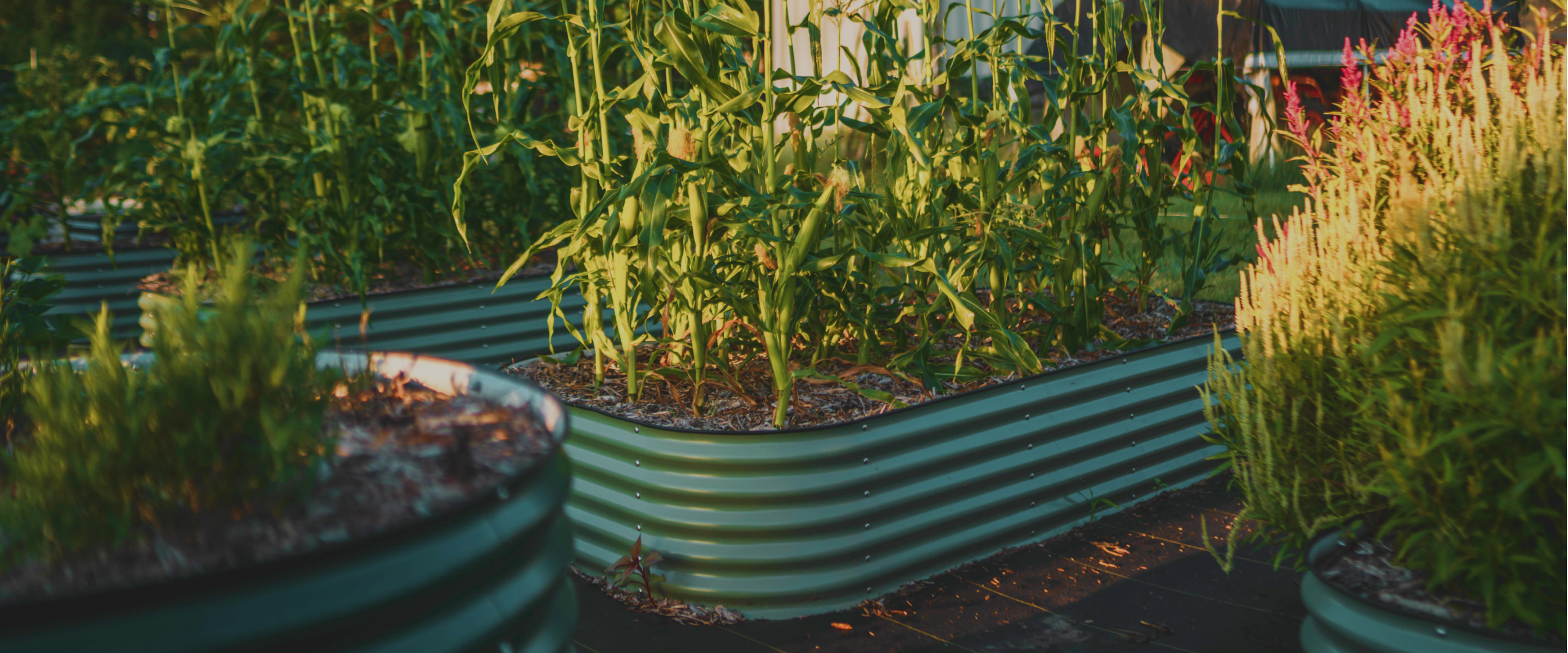 Vego garden beds