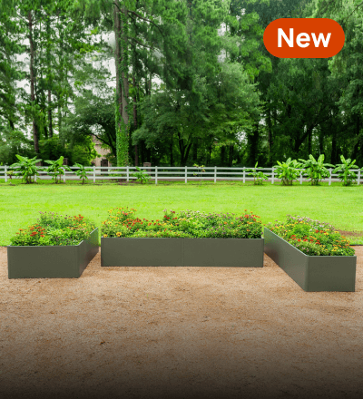Modern Garden Beds