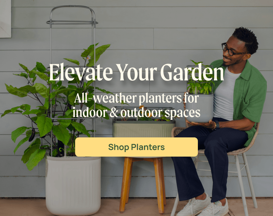 Vego garden beds